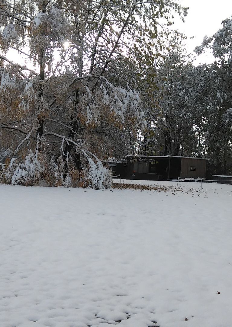 Übungszeiten: Sonntags ab 10:00 Uhr Mittwochs: nach Vereinbarung